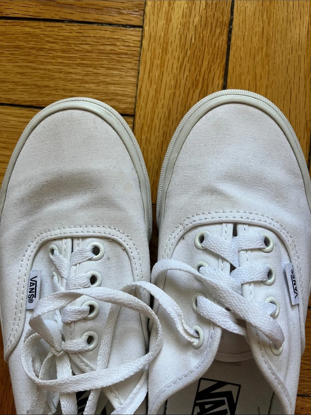 Vans White Authentic Canvas Sneakers